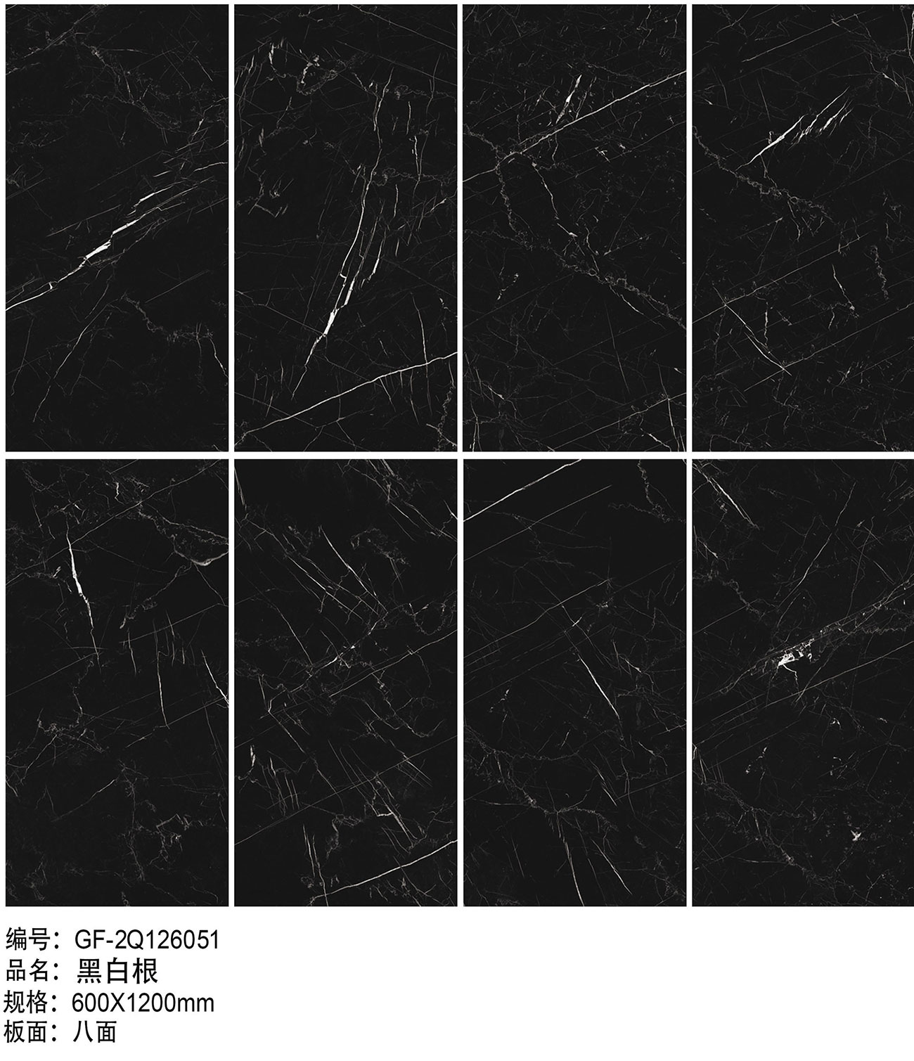 GF-2Q126051-黑白根-组合.jpg