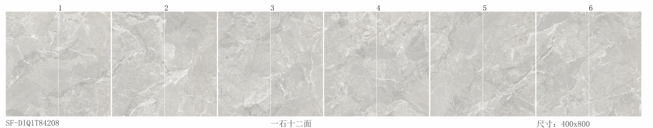 SF-DIQ1T84208格兰斯灰.jpg