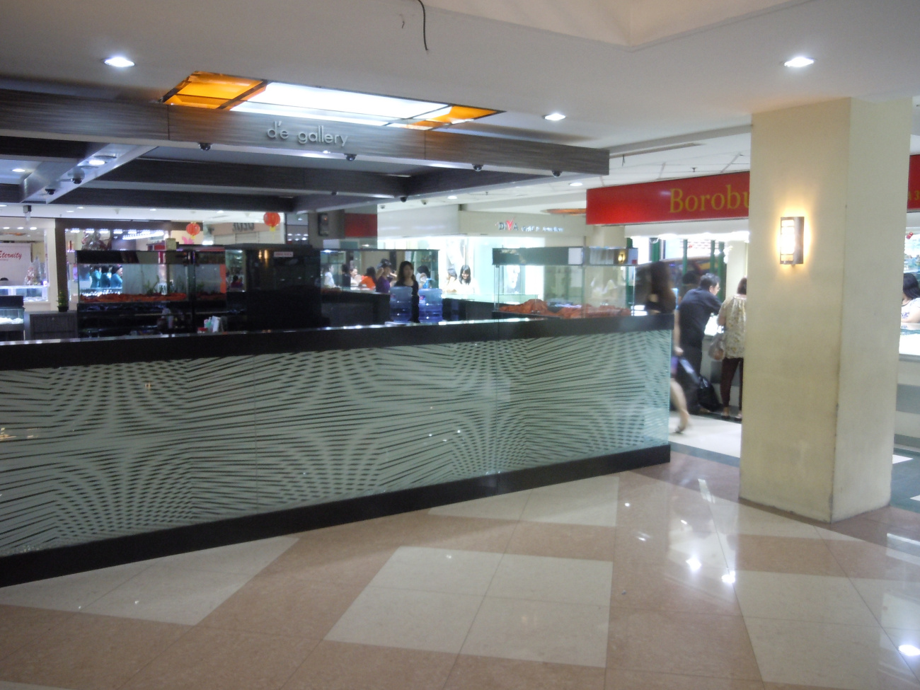 DSCN4788.jpg